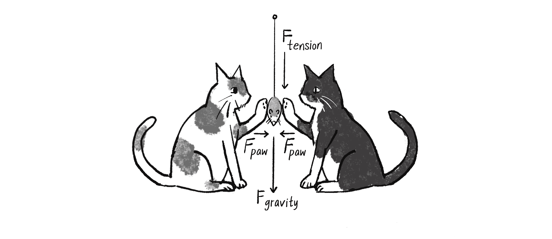 Figure 2.1: The toy mouse doesn't move because all the forces cancel each other out (add up to a net force of zero). 